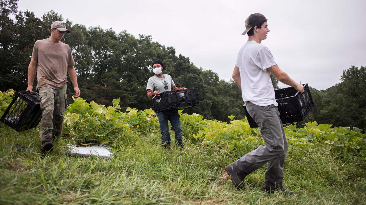 Broadband still hasn’t reached ‘the last mile’ in NC, and COVID-19 is making it worse