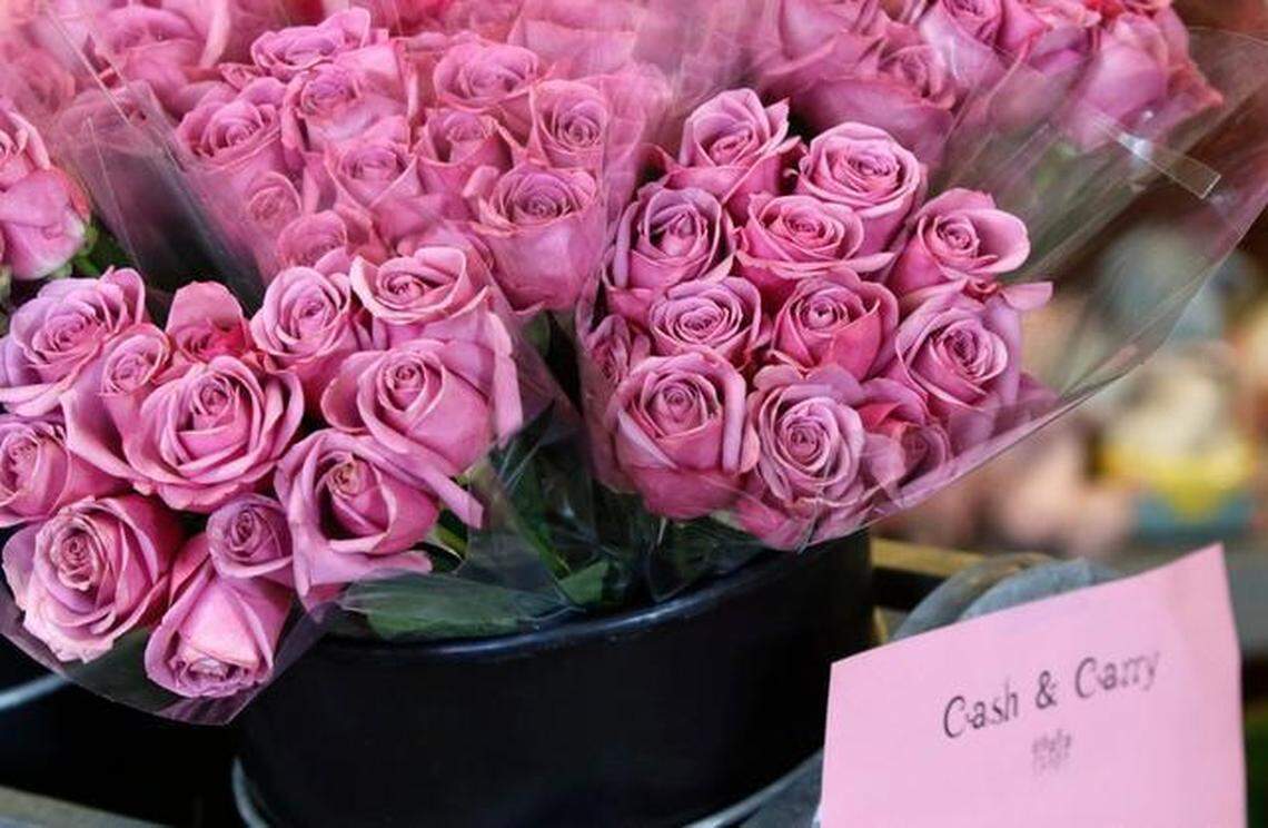 SHAFFER3-NE-021315-HLL