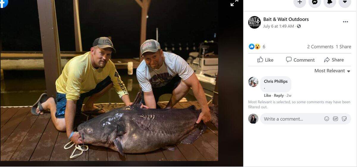 Two catfish caught in July broke North Carolina records, officials say. 