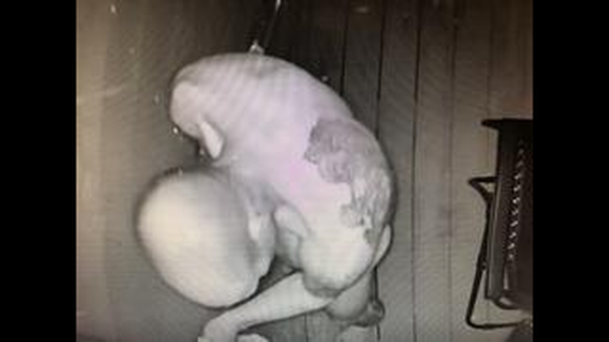 A man was caught loitering naked on porches in western North Carolina.