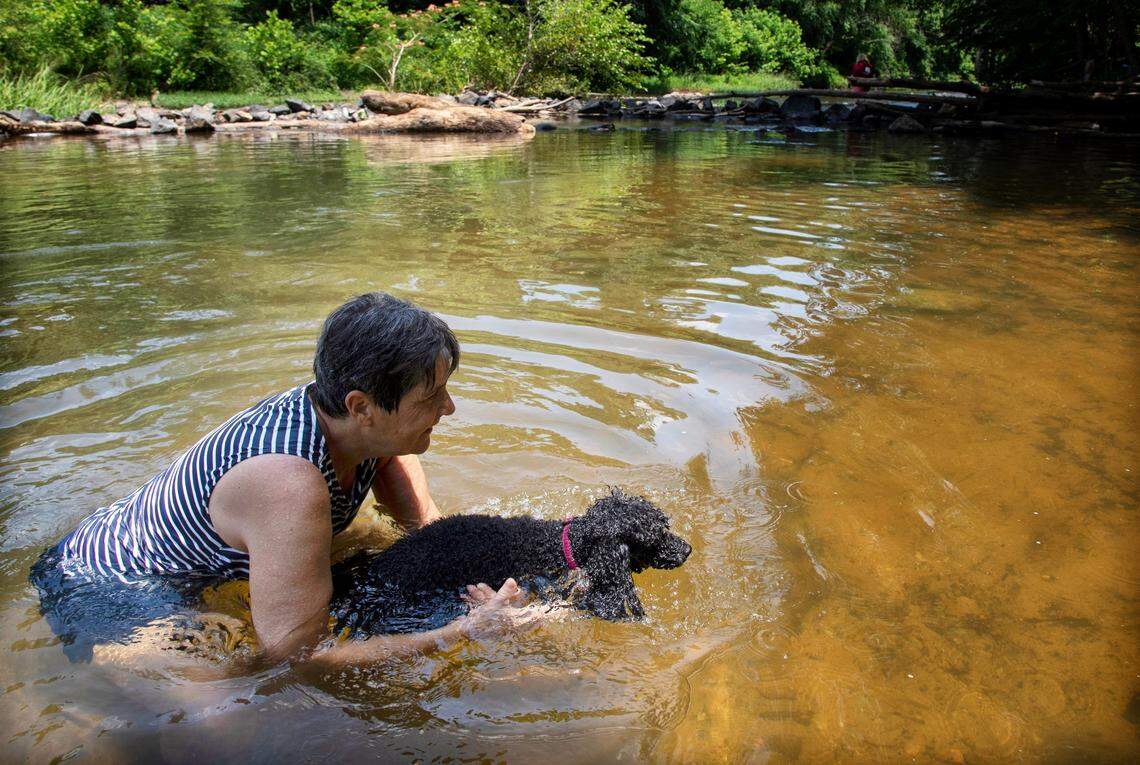 Amy Plesser helps her eight-year-old Miniature Poodle, Giselle, practice swimming at West Point on the Eno Park on Monday, June 13, 2022, in Durham, N.C.