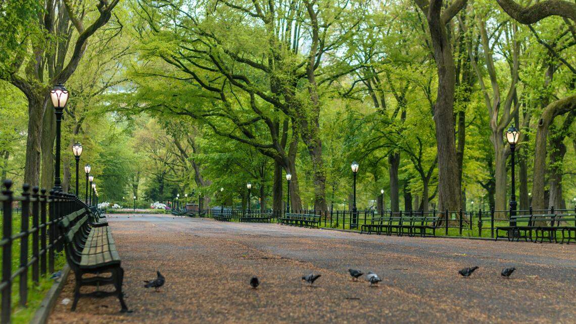 This file photo shows Central Park in New York City, New York.