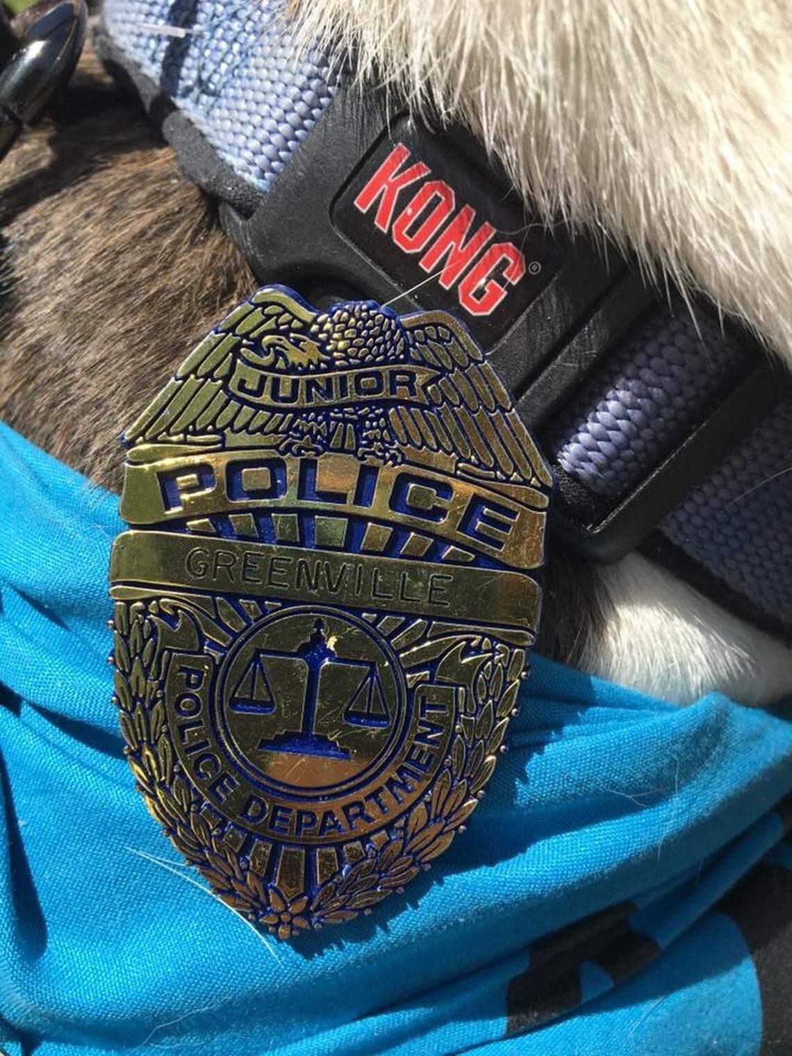 Greenville Police Chief Mark Holtzman gave Harvard the rescue dog his own badge.