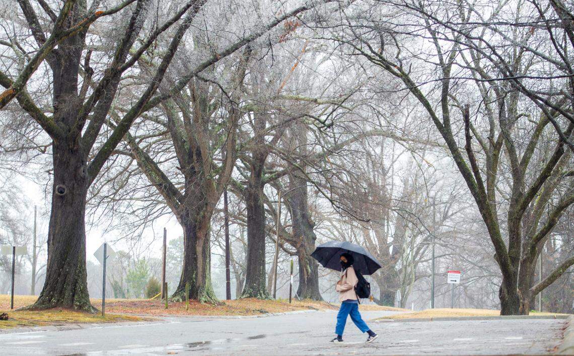 N.C. State student Khan Pen walks through Dorothea Dix Park as ice forms on the tops of trees in February. Meteorologists call for snow Monday that will not stick but bring wet, chilly weather.