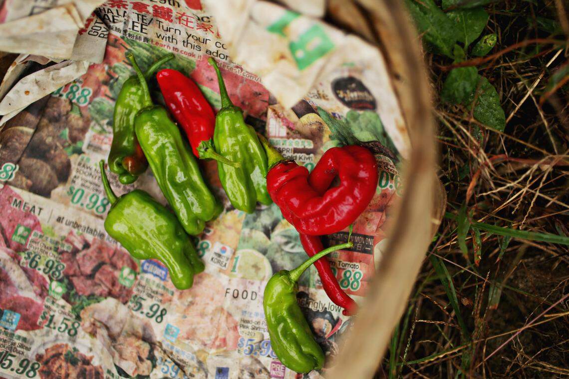 Farmer Zar Ree says that once she started growing and eating traditional Southeast Asian vegetables, raised without chemicals and flavored with lemongrass and chilis from the same garden, her health improved.