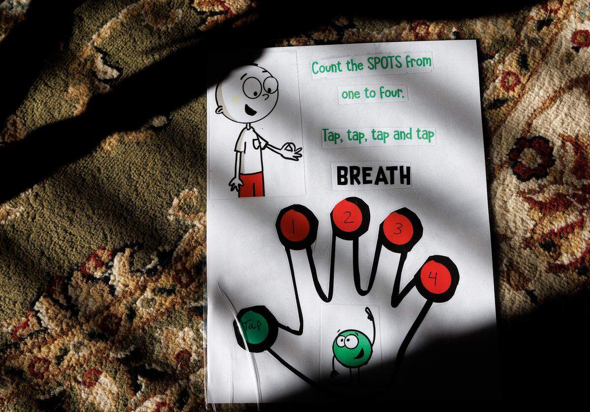An illustration encourages calming activities at the home of Tiffanie and Robert Brinson in Garner, N.C. on Monday, Jan. 22, 2024. The visual cues are used to care for their son, who lives with autism and bipolar disorder, during his periodic psychiatric crises.