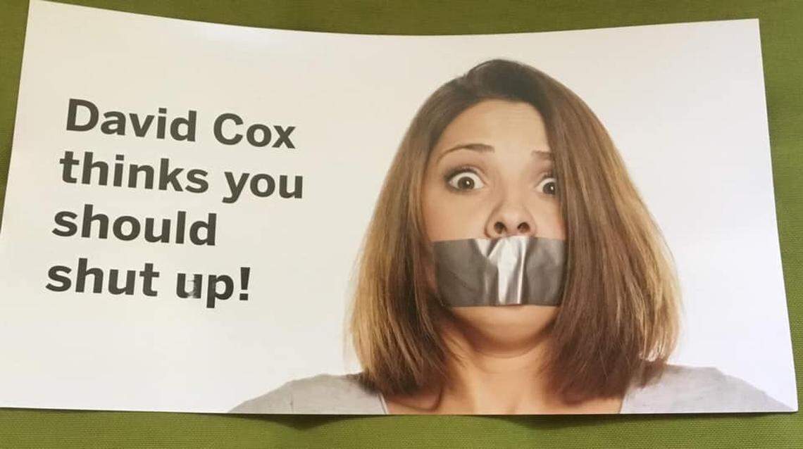 One of the mailers sent by the Triangle Government Alliance to some Raleigh residents.