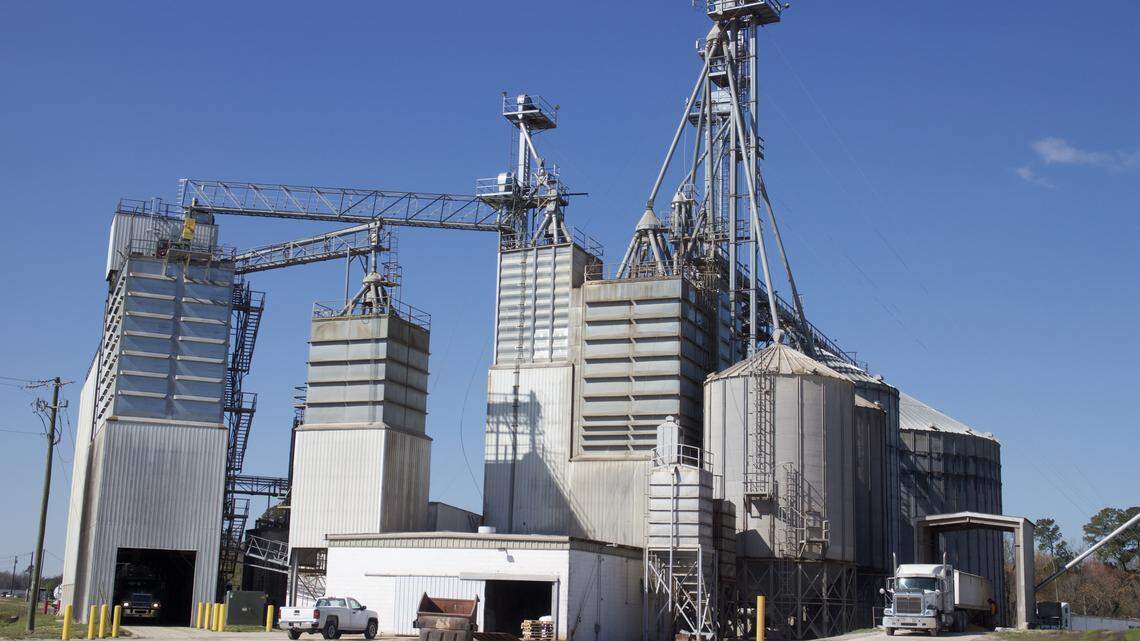 Eastern Carolina Broadband has mounted transmitter equipment on this grain elevator in Lenoir County’s Deep Run community, which can provide a wireless signal for internet service in a five-mile radius. The new technology has been hailed as a “game changer” for rural broadband.