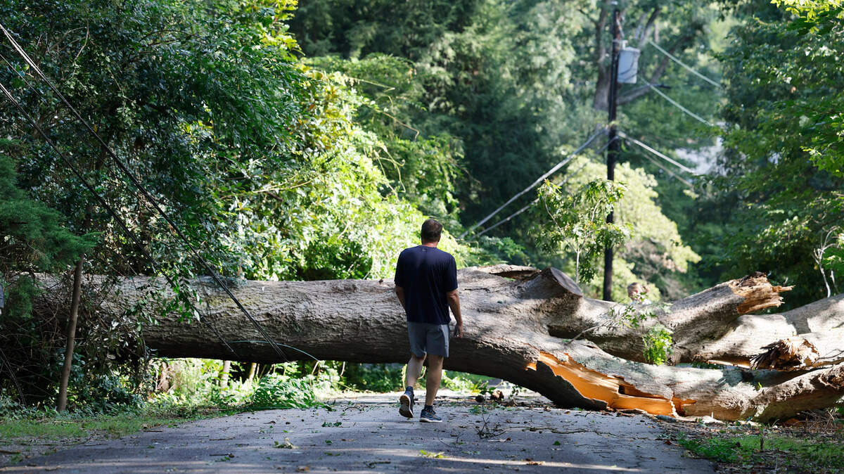 A tree blocks Lutz Ave. in Raleigh, N.C., Tuesday morning, August 8, 2023. The surrounding area currently does not have power.