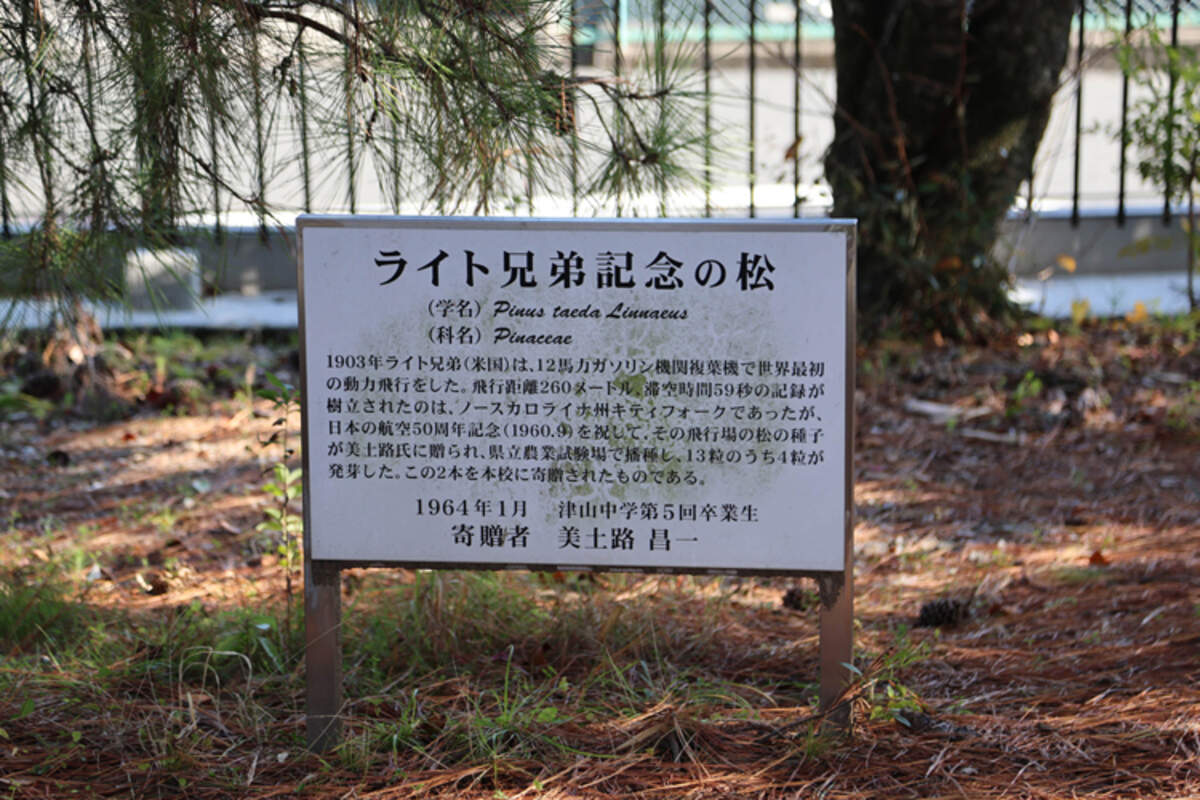 A sign outside Tsuyama High School in Japan celebrates the pine tree taken from seeds in Kitty Hawk and given to Japan in 1960.