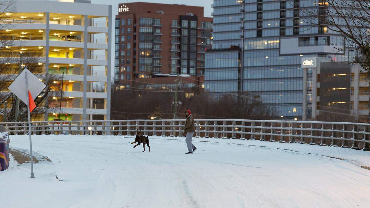 A dog enjoy an early morning walk in Raleigh, N.C., Sunday morning, Feb. 1, 2026.