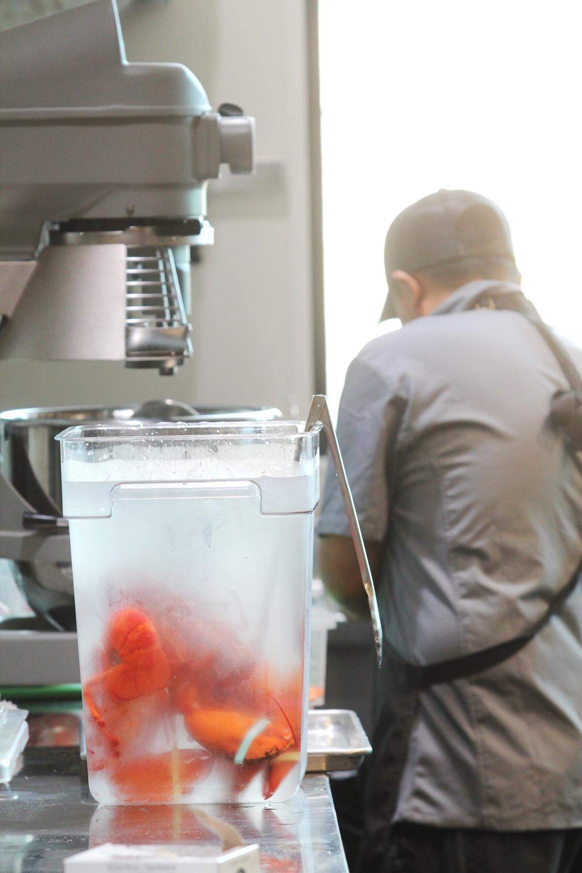 Steamed lobsters get an ice bath in the kitchen of the new Crawford Brothers Steakhouse in Cary.