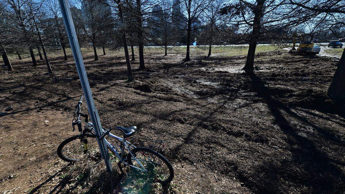A group of young bicyclists were arrested after they beat up and carjacked a driver in east Charlotte on March 31. CMPD called this behavior “an ongoing problem.”