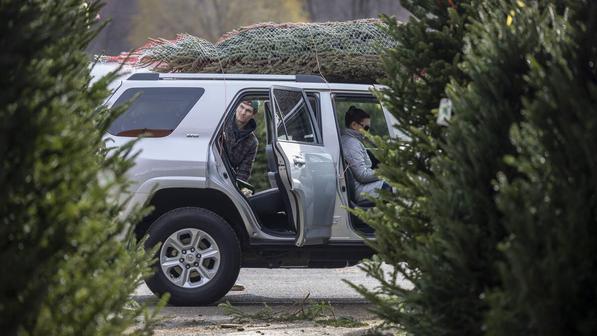 Where can you recycle your Christmas tree in Sedgwick County? Here’s a list of locations open now.