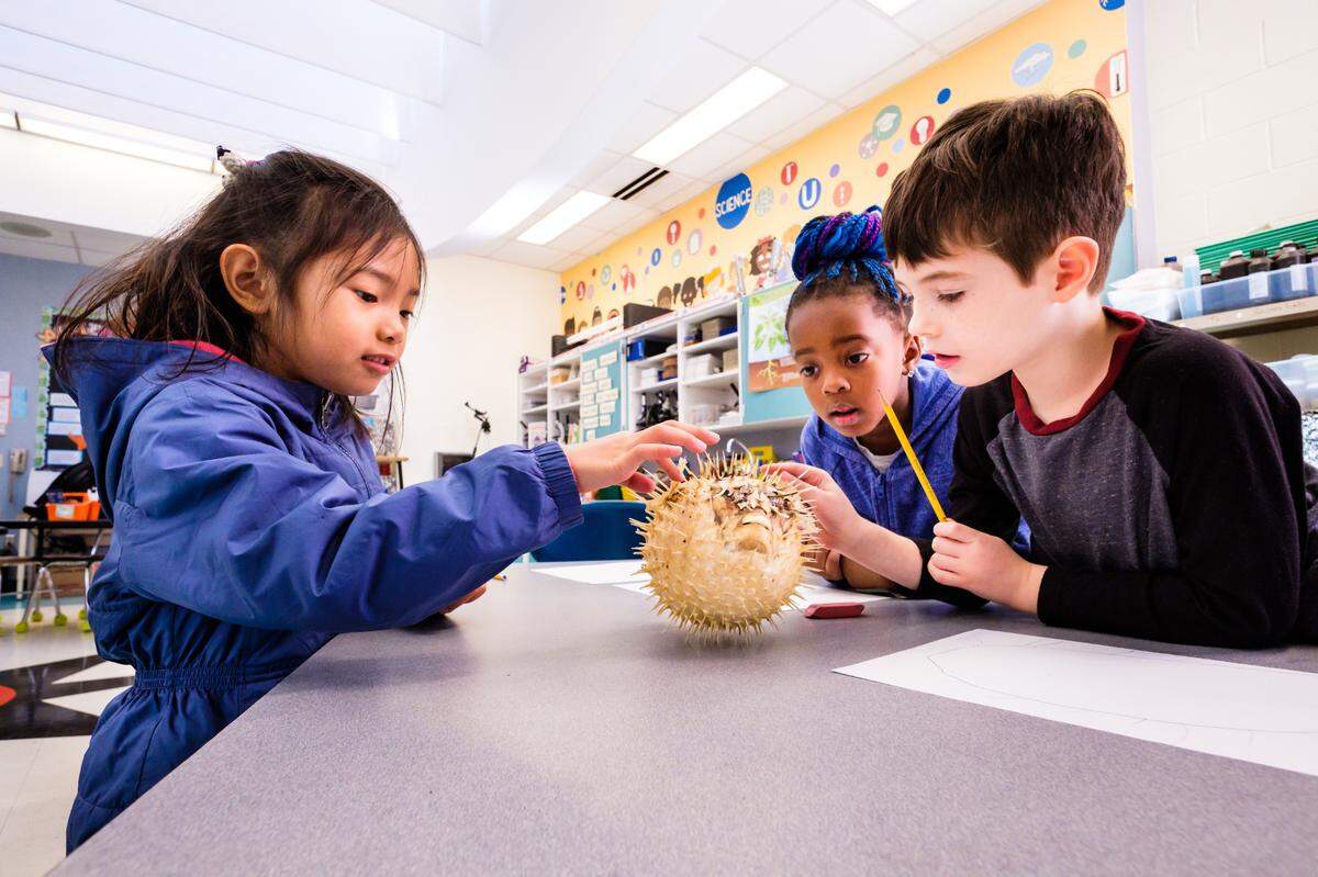 Students at MIllbrook Elementary School in Raleigh, N.C., which was named the number two magnet school in the nation in 2025 by Magnet Schools of America.
