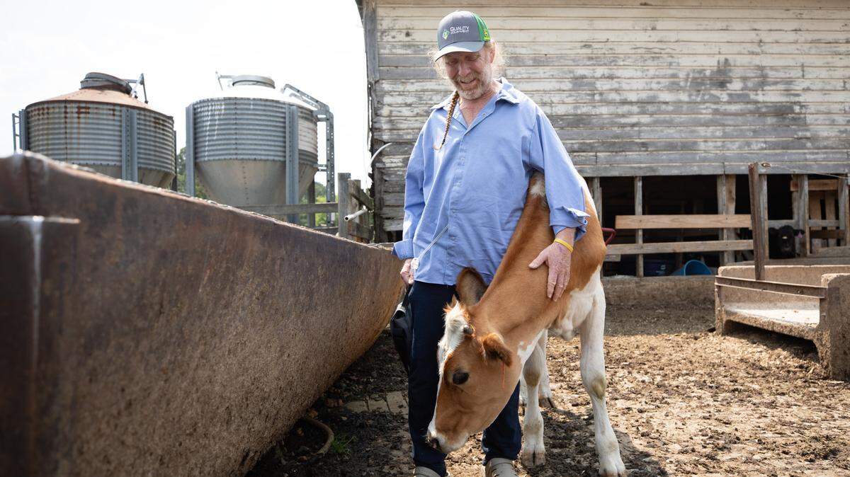 Randy Lewis smiles as he hugs one of his cows at Ran-Lew Dairy Farm in Snow Camp, N.C. on Friday, June 16, 2023. Lewis spent 26 days in the hospital after being attacked by a black Angus bull on his farm last month. He returned home to Ran-Lew Dairy on June 2, where he has continued his recovery.