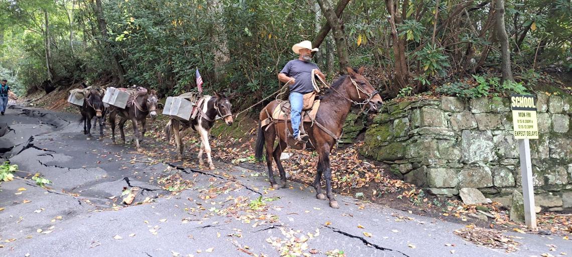 Mountain Mule Packers walk along damaged road in Montreat days after Helene passed through the Bumcombe County town .