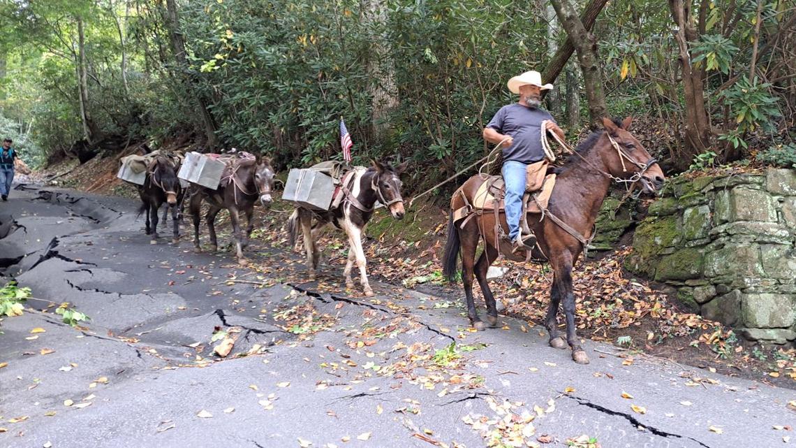 Mountain Mule Packers walk along damaged road in Montreat, North Carolina days after Helene passed through the Buncombe County town.