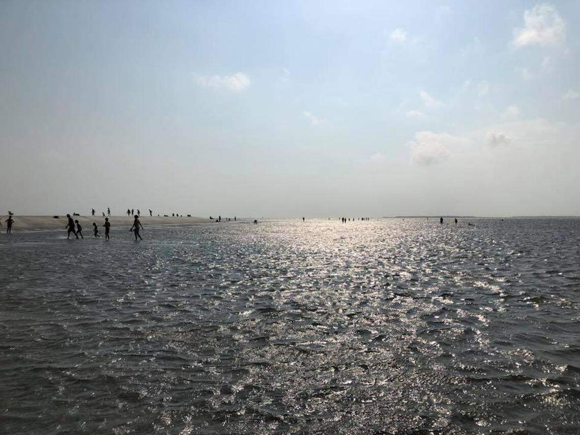 Sand Dollar Island, North Carolina.