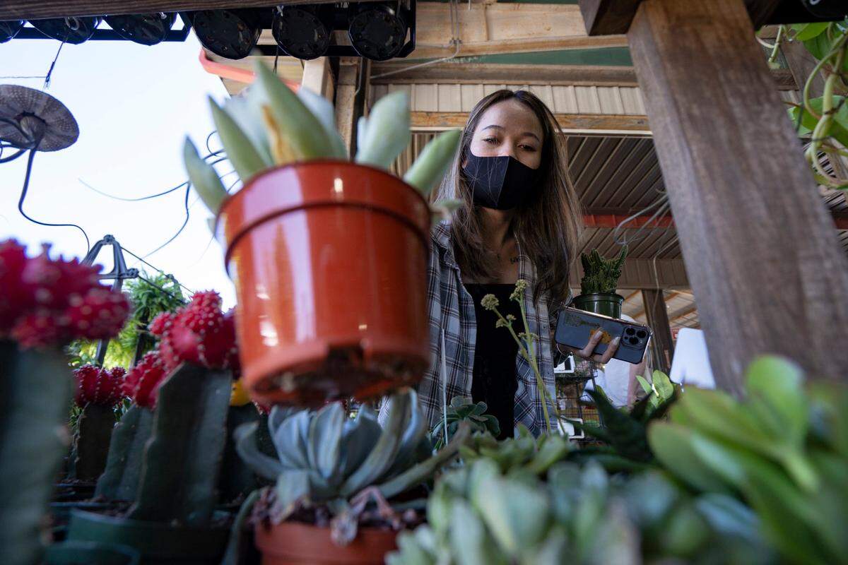 Rabella Nie shops for plants at the State Farmers Market in Raleigh, N.C. on Monday, May 9, 2022.