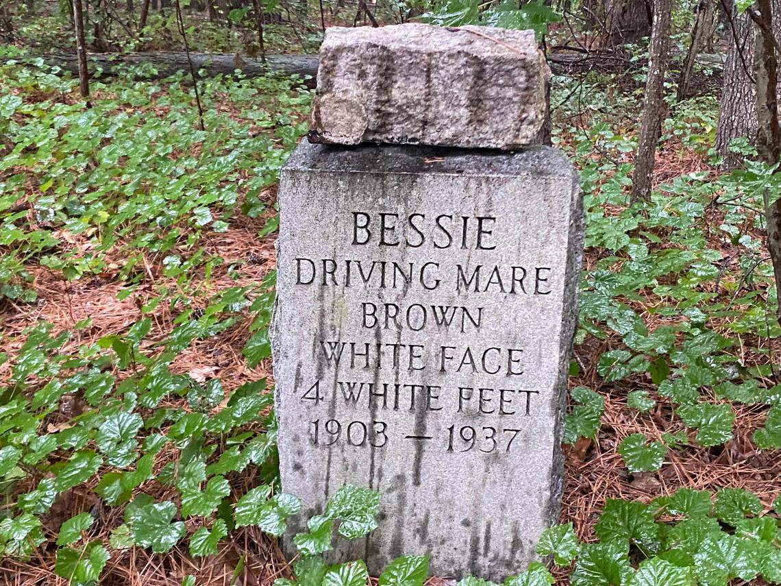 One of several equine graves established by Fabius Page on what was once his farm in Durham County.
