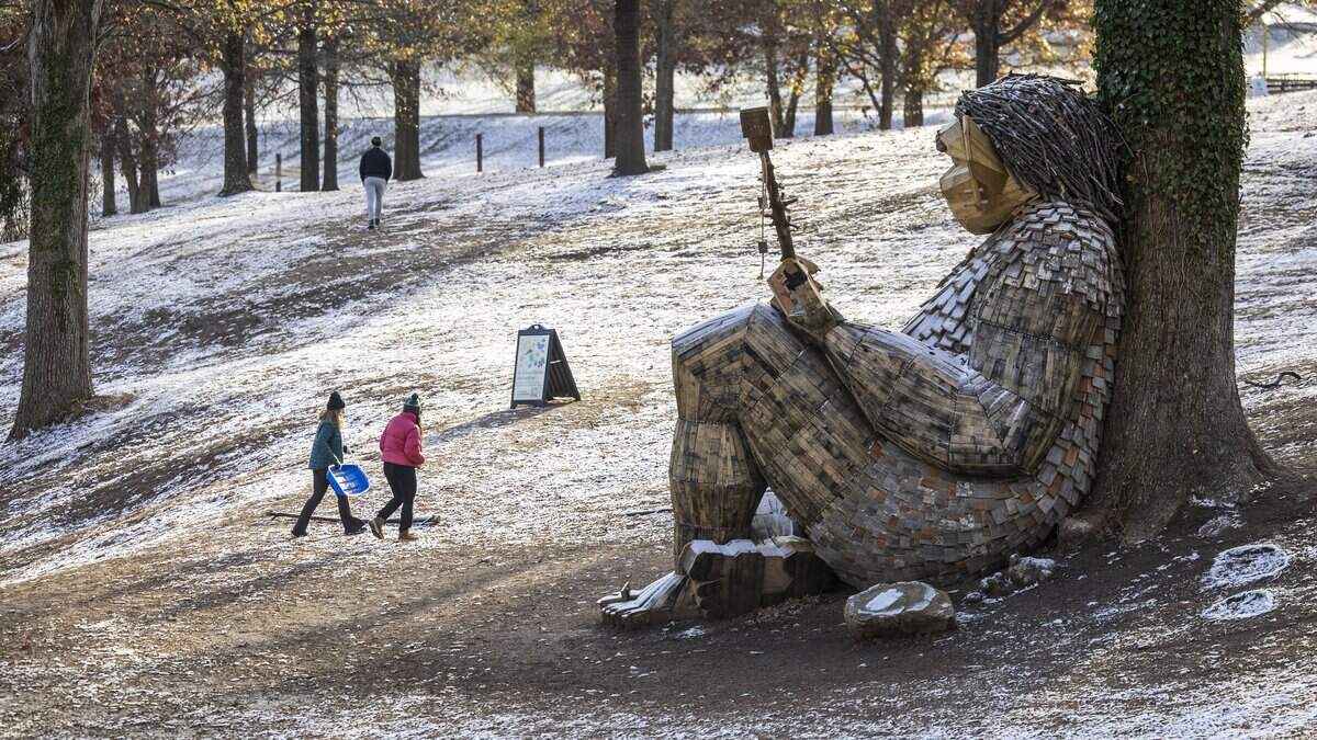 Sophia Ashe, 14, and her mother, Kim Zdanowicz, head back up the slope at Dorothea Dix Park in Raleigh while attempting to sled in a dusting of snow that accumulated overnight on Tuesday morning, Dec. 9, 2025. A whimsical troll sculpture made from reclaimed wood by artist Thomas Dambo rests on the hillside.