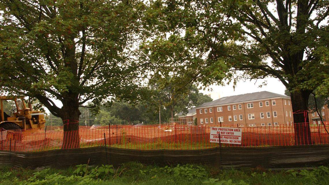 Are Raleigh’s trees protected from developers? What to know about the rules.