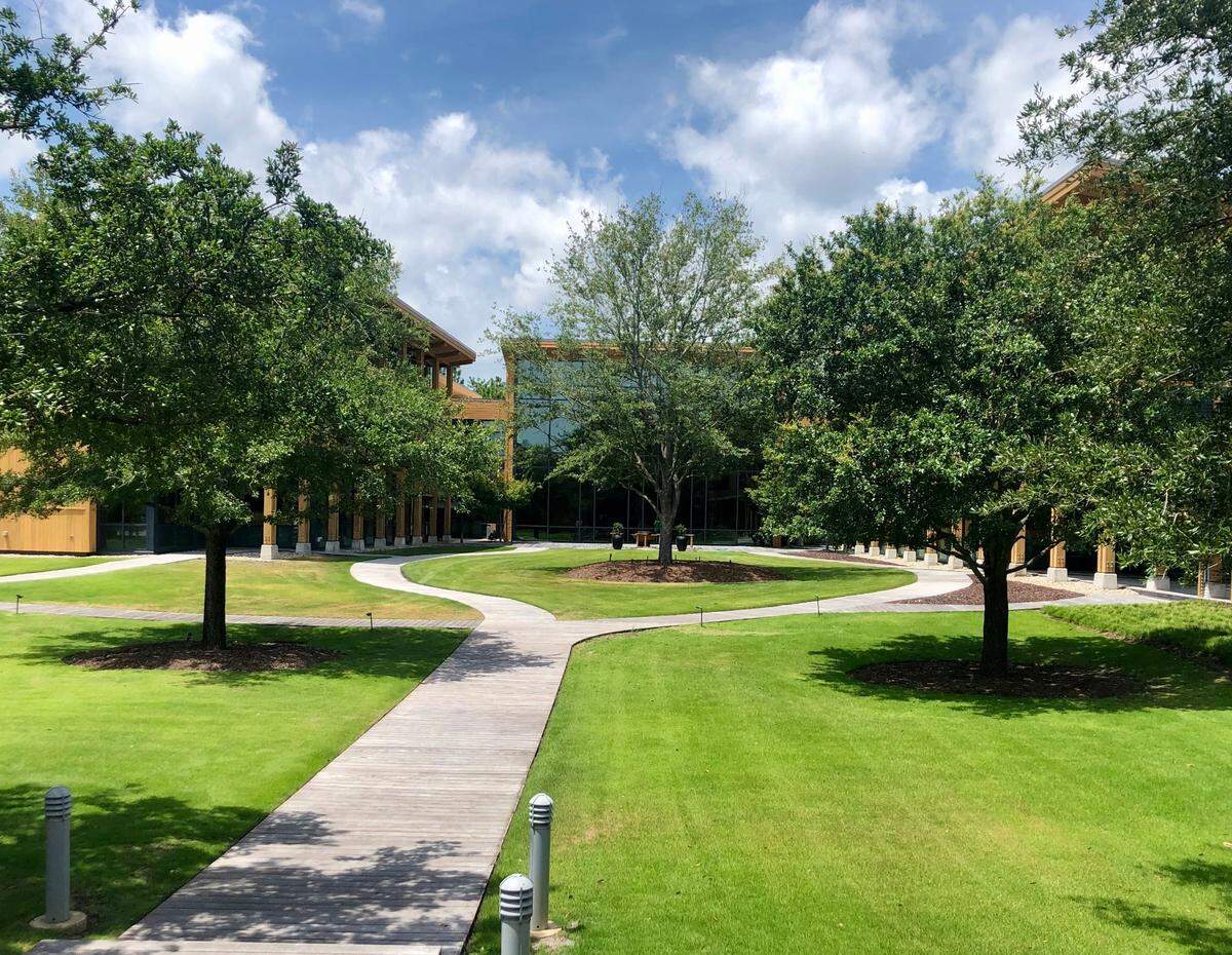 Live oaks dot Live Oak Bank’s campus in Wilmington, N.C.