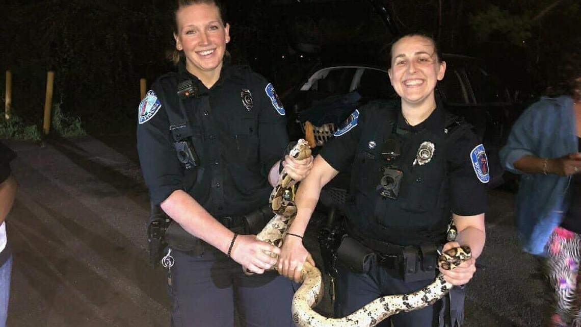 Officers Bruington and Leone found a snake underneath a car, according to their Virginia police department.