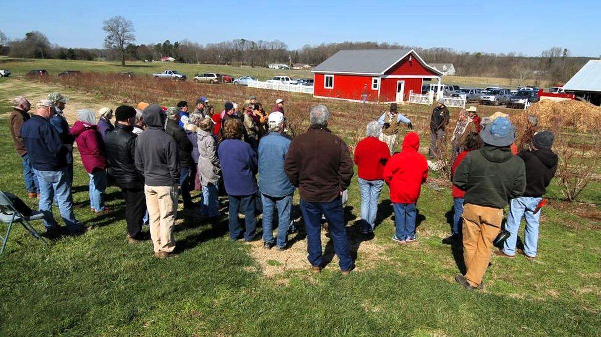 N.C. State University blueberry specialist Bill Cline teaches a group of visitors about blueberry pruning in this 2016 photo taken at Howard’s Farm on U.S. 64 West near Pittsboro. A large portion of the farm is slated for development.