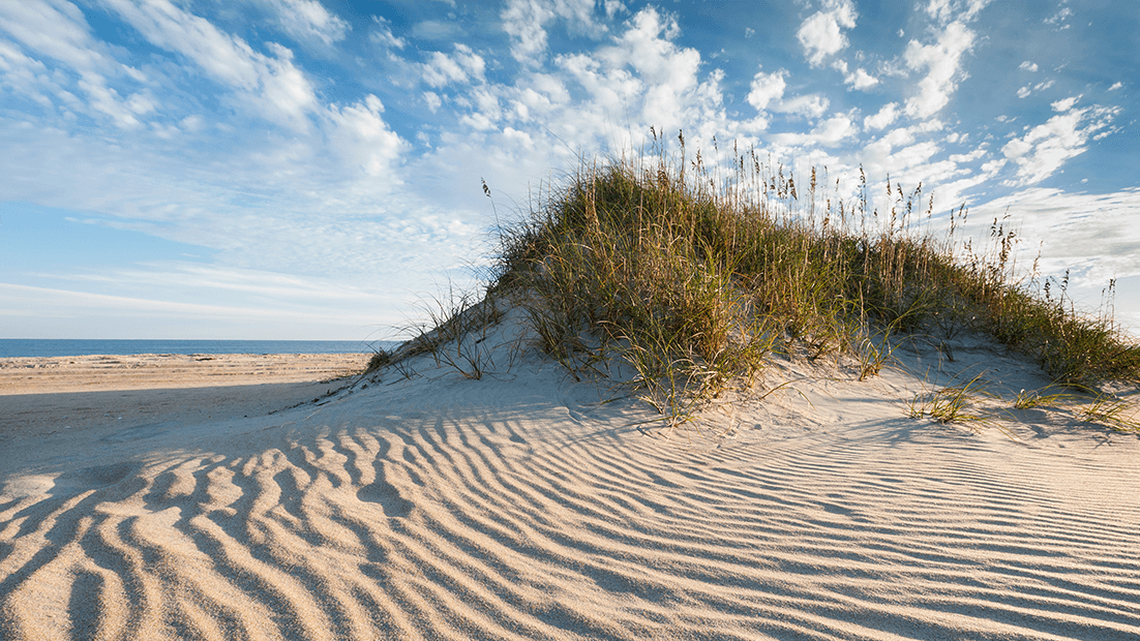 15-year-old girl lying on beach run over by pickup truck, North Carolina cops say