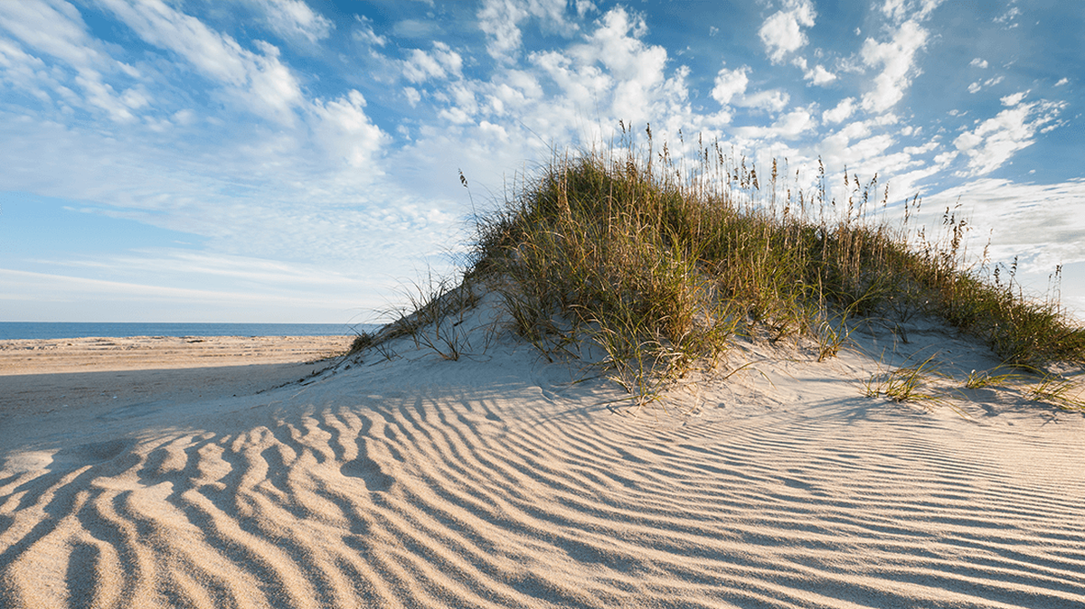 A 15-year-old girl sunning herself on a beach at Oak Island, North Carolina, was hit by pickup truck, Oak Island police say. Her injuries were not life-threatening.