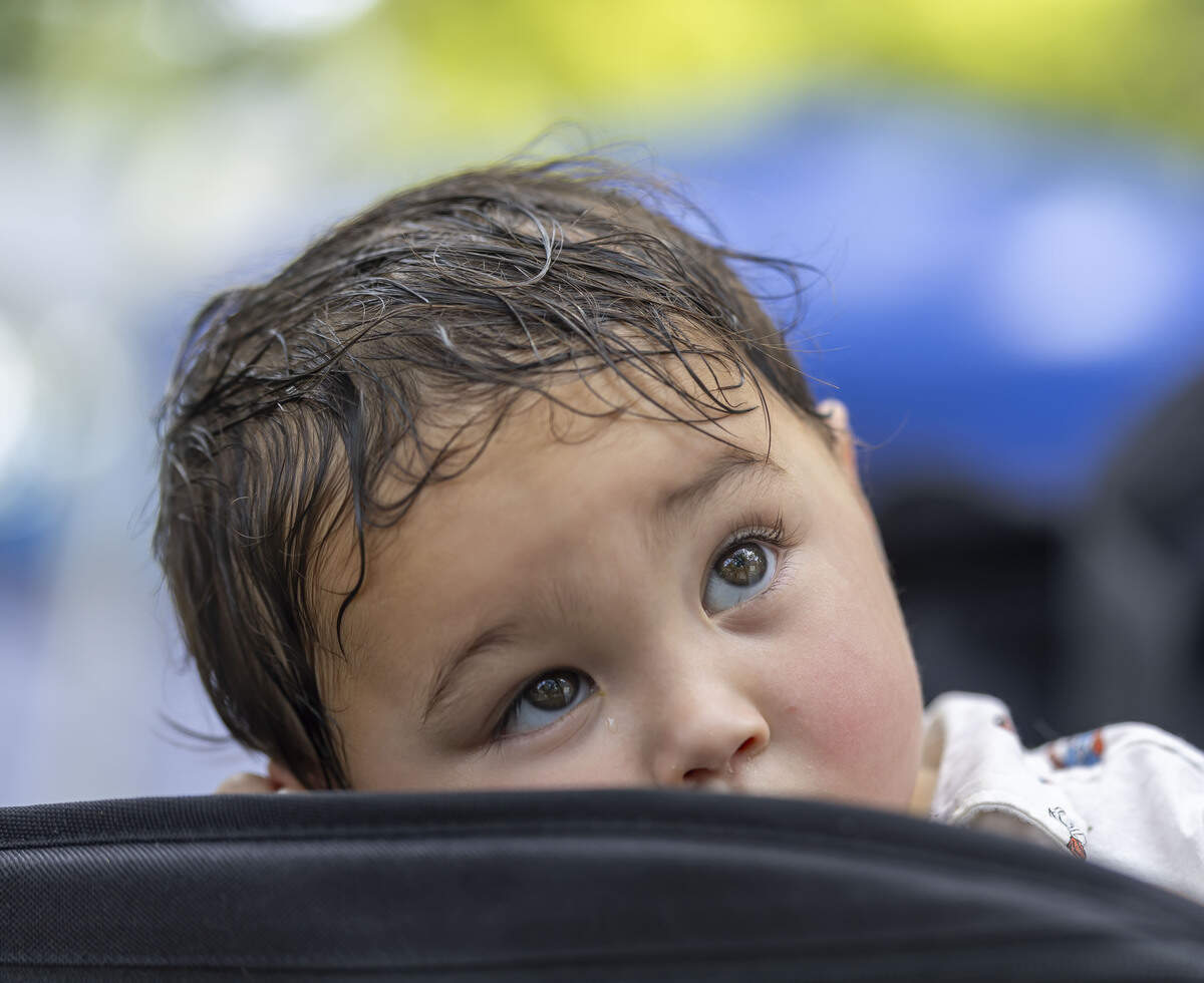 Yoshihiro Lincourt sweats in his wagon during the during the Freedom Fest, celebrating the country’s Semiquincentennial, at the North Carolina State Capitol, on Saturday, July 4, 2026 in Raleigh, N.C.