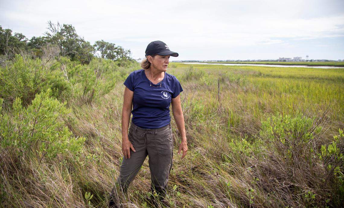 Tracy Skrabal, a scientist with the North Carolina Coastal Federation, tours a salt marsh in Wrightsville Beach, Wednesday, Aug 18, 2021. Salt marshes in North Carolina are being pushed back by rising sea waters, but aren’t always able to retreat due to coastal development, leaving them to shrink.