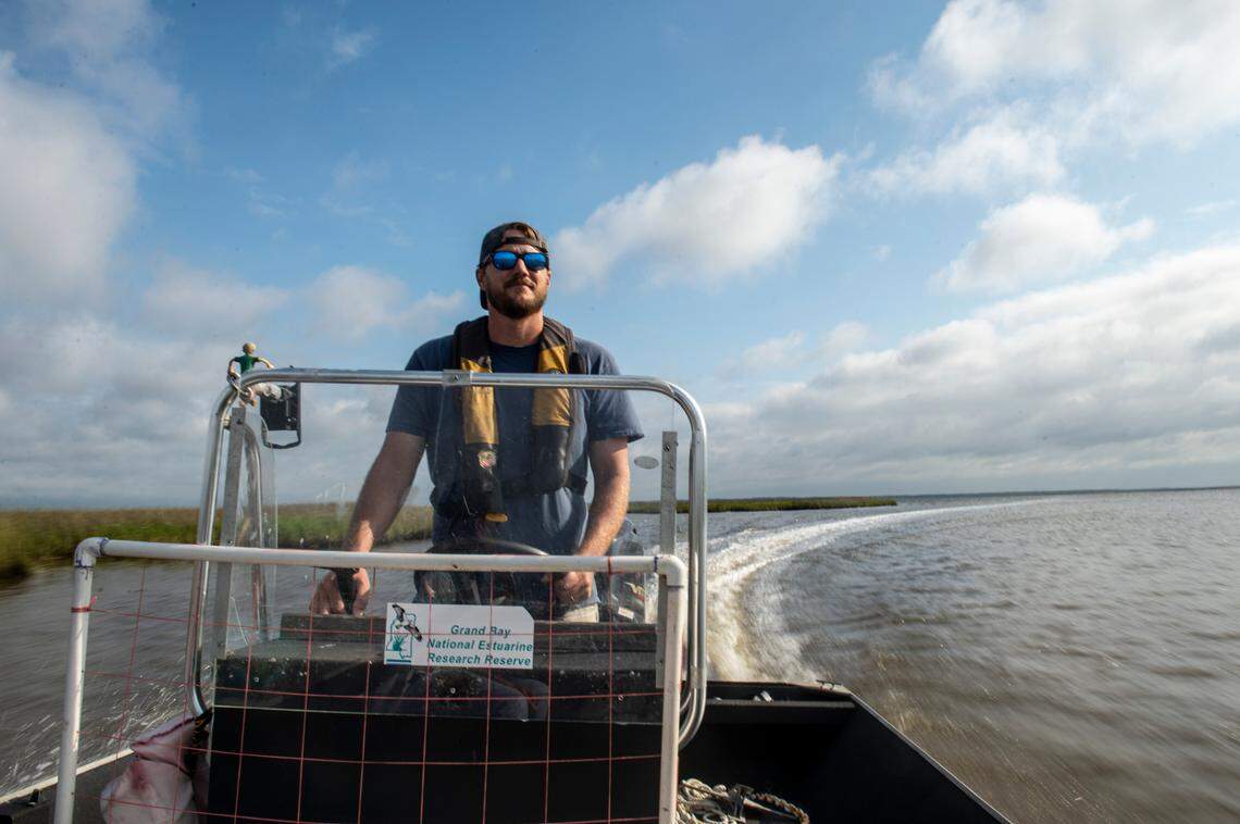 Jonathan Pitchford, stewardship coordinator for the Grand Bay National Estuarine Research Reserve, drives a boat through the estuaries at Grand Bay National Estuarine Research Reserve on Wednesday, Sept. 22, 2021.