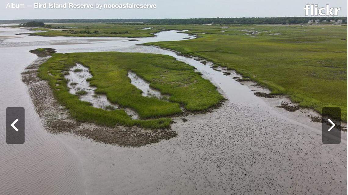 The cries for help were heard from the marsh between Sunset Beach and Bird Island