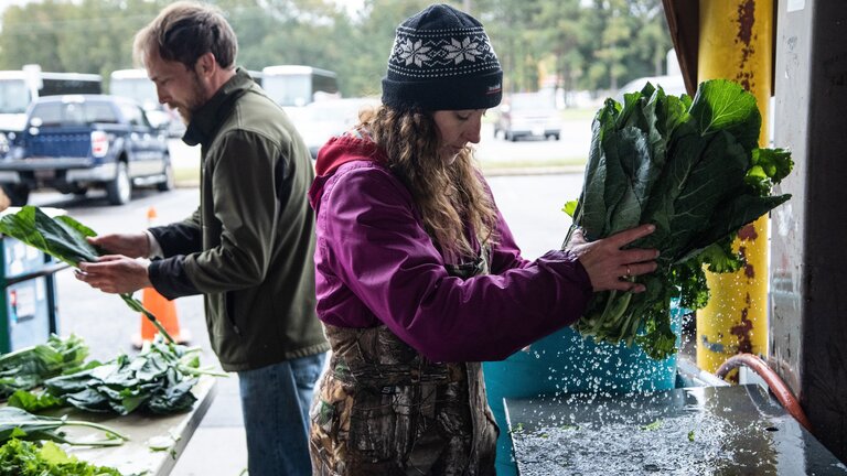 Thanks to Florence, some vegetable side dishes may be missing this Thanksgiving