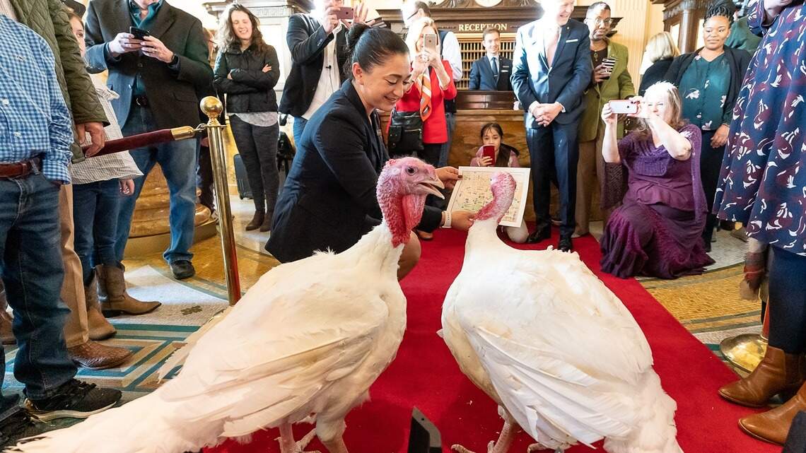 Two lucky turkeys from North Carolina are getting pardoned by Trump