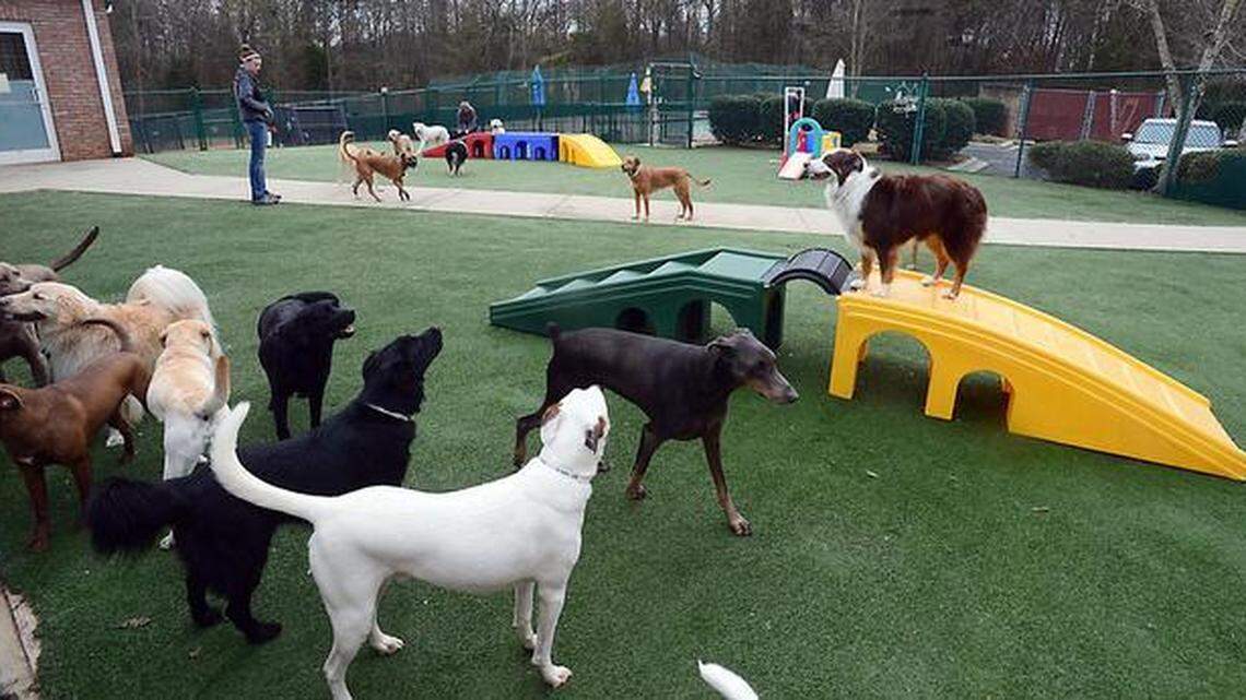 When you’re away, there soon will be a new place in Okatie to send your pet on vacation