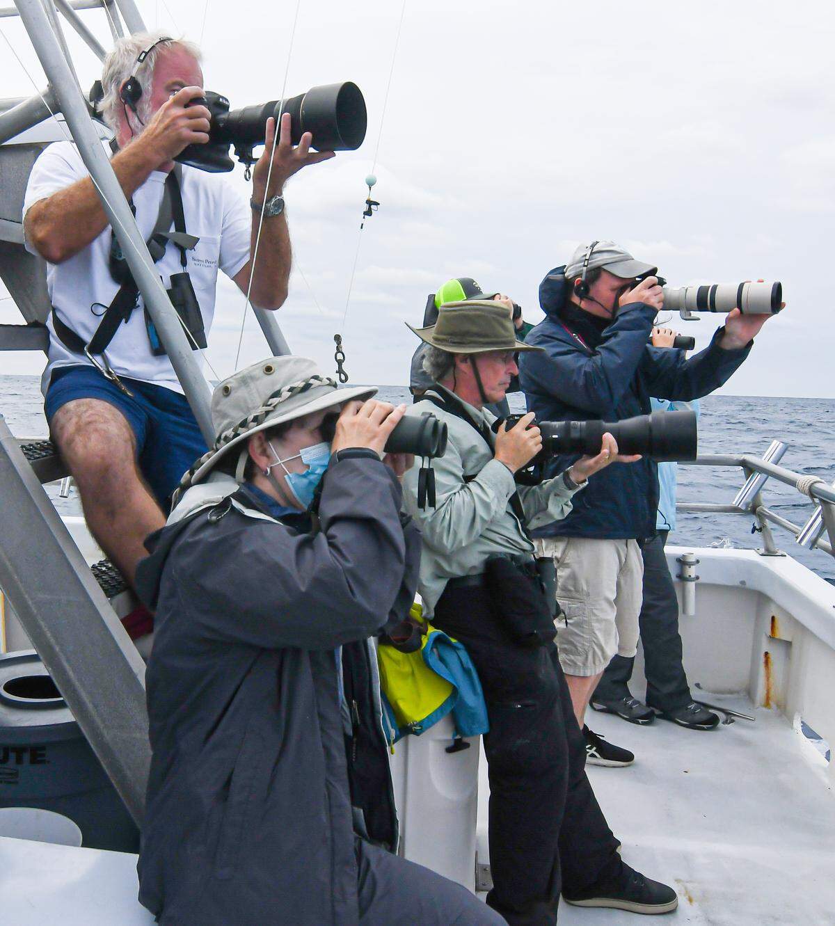 Bird lovers from all over come to an area off the Outer Banks to watch and photograph seabirds. Brian Patteson, captain of the Stormy Petrel II, is founder of the Seabirding operation. On this trip, passengers line up in the stern of the boat, with Patteson above them, for sights and photos of the seabirds flocking nearby. 