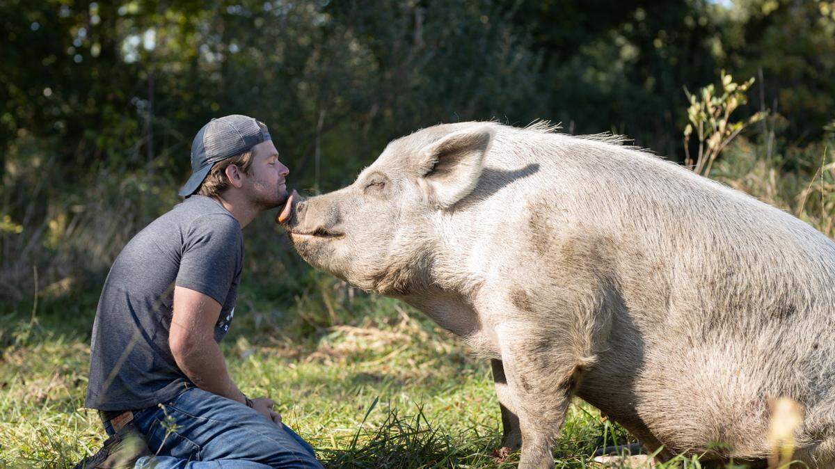 Dan McKernan with Adam the pig in Animal Planet’s “Saved by the Barn.”