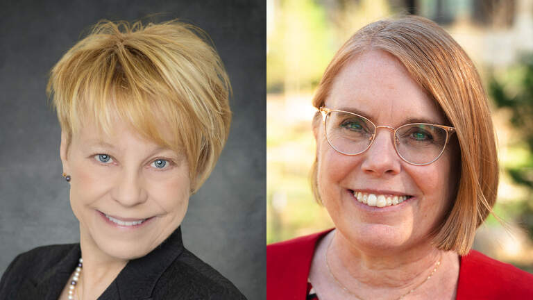 Southwestern Wake candidates for House align on MLB stadium, split on marijuana