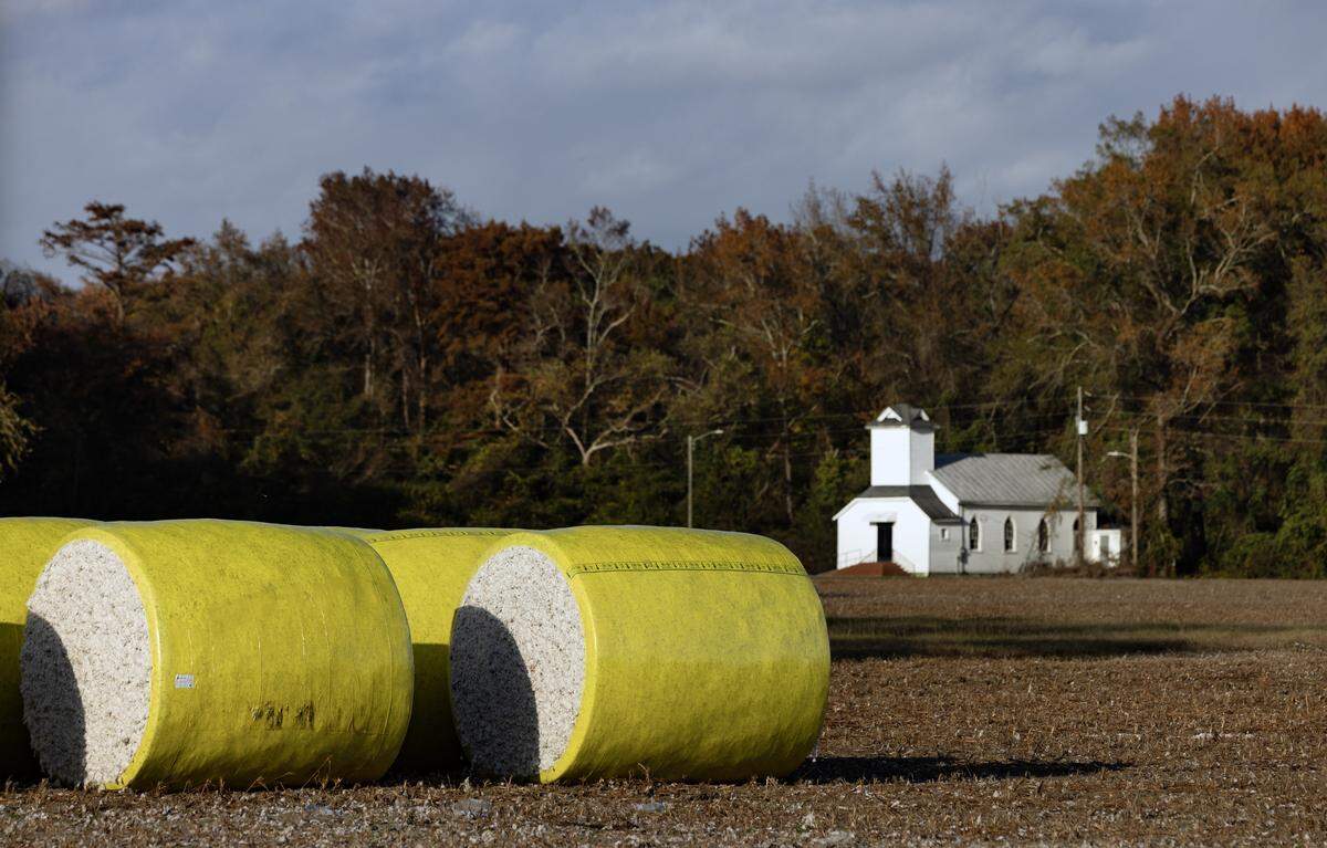 Just outside of Kinston in Lenoir County, the landscape quickly turns from small city to rural and agriculture.  Bales of recently harvested cotton wait in a field by a small rural church.