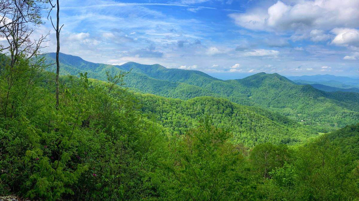 Epic Games CEO Tim Sweeney donated 7,500 acres in Mitchell County, N.C. to the Southern Appalachian Highlands Conservancy to create the South Yellow Mountain Preserve.
