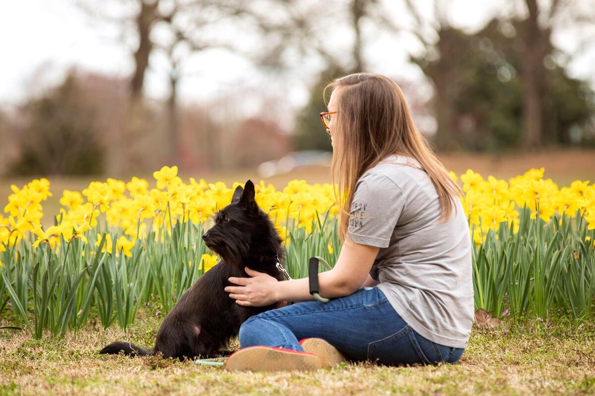 Melissa Pitaccio sits with her dog Dahlia by the ribbons of about 50,000 daffodils that recently emerged at the Flowers Field at Dorothea Dix Park on Monday, Mar. 11, 2019, in Raleigh, NC.