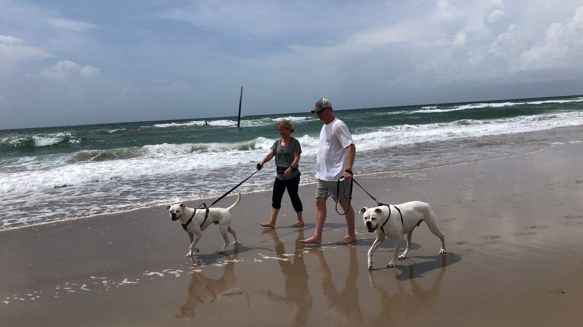 Want to bring your dog on vacation? A guide to dog-friendly NC beaches