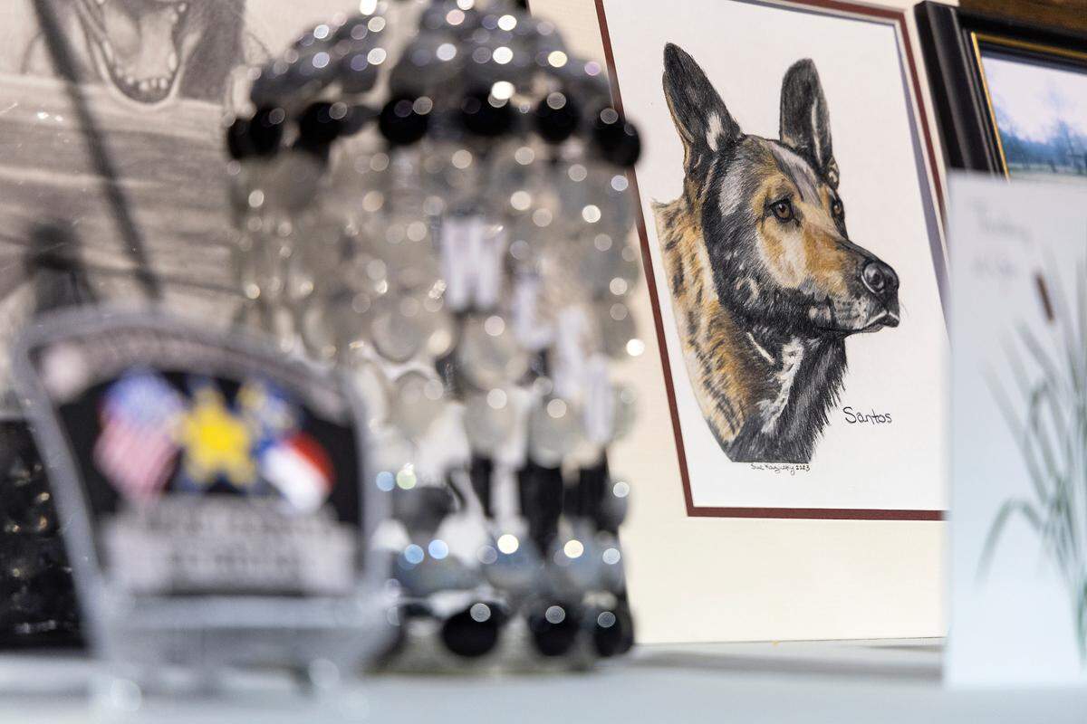 Artwork depicts K9 Santos, a Wake County sheriff’s dog, prior to a memorial service at the Kerr Scott Building on Wednesday, June 14, 2023, in Raleigh, N.C. K9 Santos, a German shepherd, was accidentally shot and killed by a Knightdale police officer after a traffic stop in May.