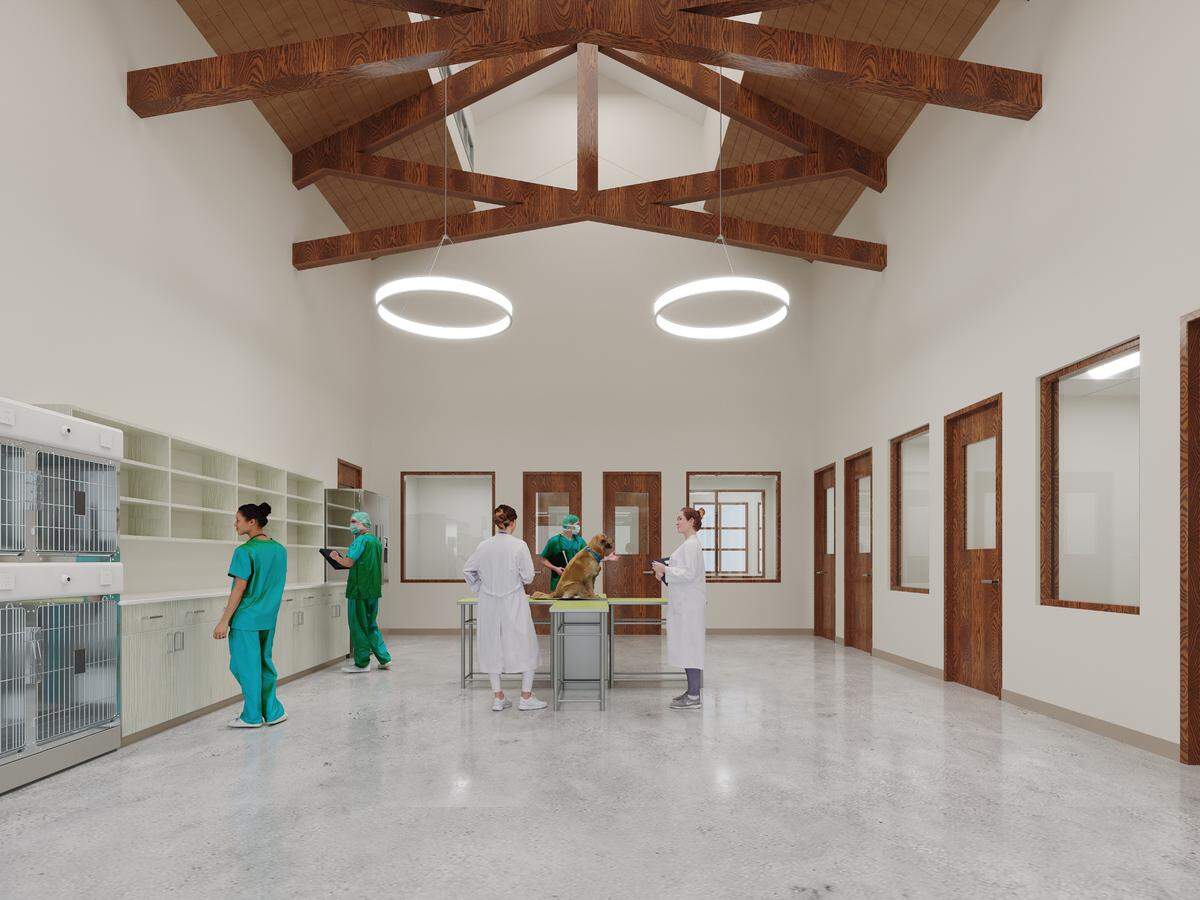 Bahama Road Veterinary Hospital, a veterinary practice in Durham County with urgent care services, is building a new facility, to be called Bahama Veterinary Medical Center.