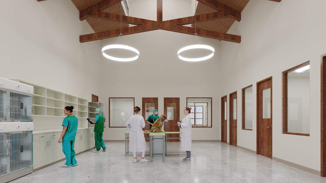 The new Bahama Veterinary Medical Center will feature new amenities for pet owners and hospital staff, along with new medical technologies.