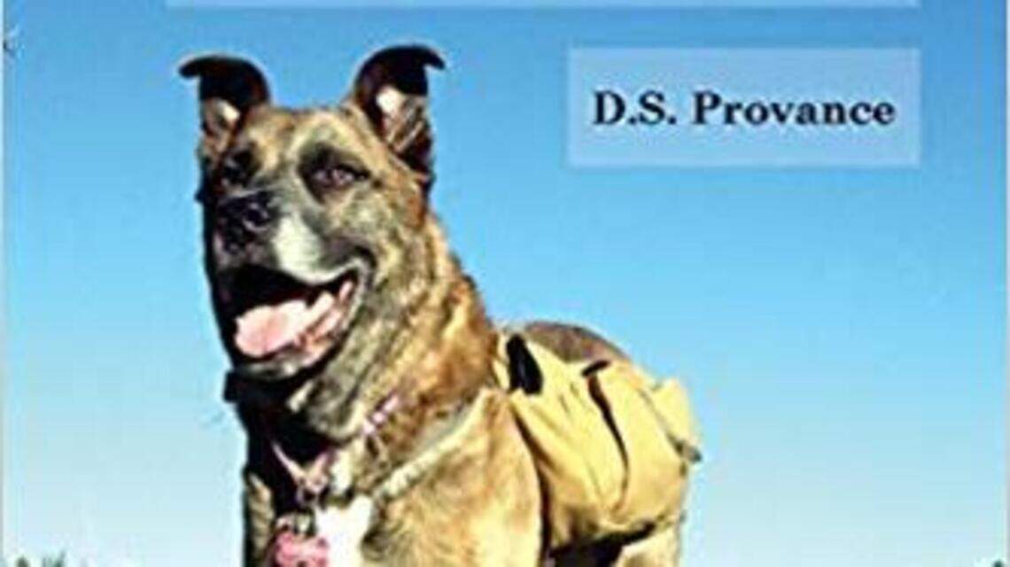 Odie the rescue dog became a neighborhood celebrity in Apex. Now he’s got a book.